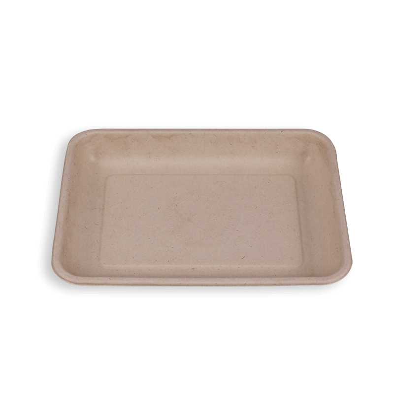 8,8 * 6,5 '' Biologisch abbaubare Zuckerrohr-Bagasse-Langschalen